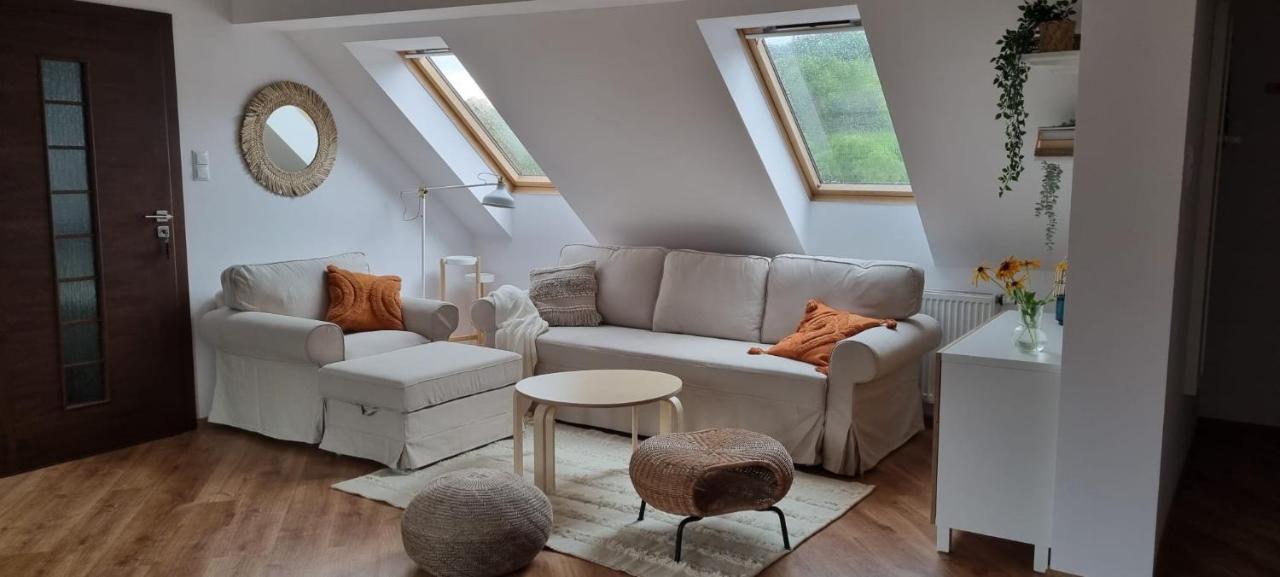 Apartament W Centrum - Nasze Poddasze Ustrzyki Dolne Extérieur photo