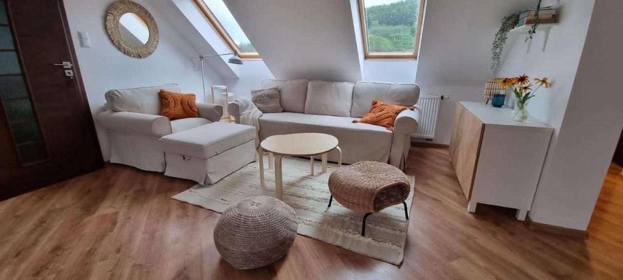 Apartament W Centrum - Nasze Poddasze Ustrzyki Dolne Extérieur photo