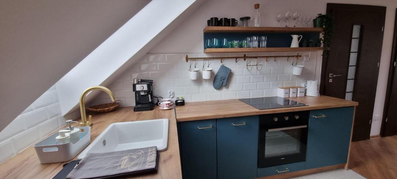 Apartament W Centrum - Nasze Poddasze Ustrzyki Dolne Extérieur photo