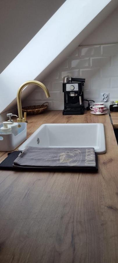 Apartament W Centrum - Nasze Poddasze Ustrzyki Dolne Extérieur photo